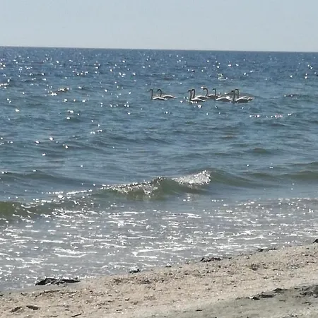 Summerland Mrs * Mamaia