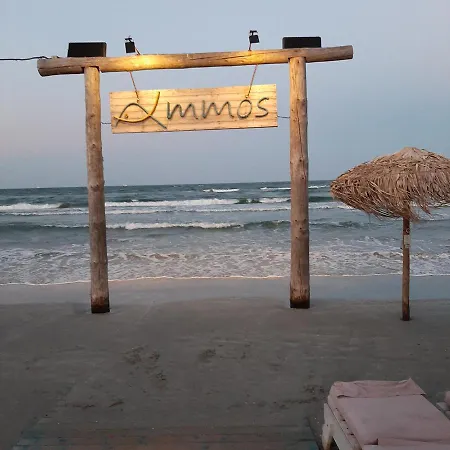 Summerland Mrs Daire