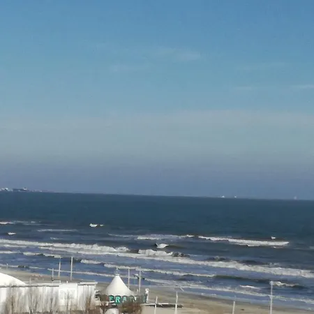 Summerland Mrs Daire Mamaia